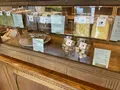 菓子屋 シノノメの写真_1384328