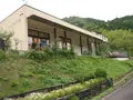 大江ノ郷自然牧場 ココガーデンの写真_138664