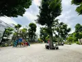 鍋島松濤公園の写真_1387163