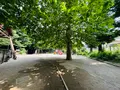 氷川の杜公園の写真_1387565