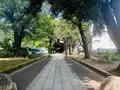 氷川の杜公園の写真_1387567