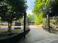 氷川の杜公園の写真_1387568