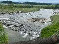 川霧の湯の写真_1393745