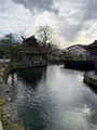 忍野八海の写真_1393796