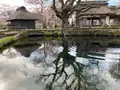 忍野八海の写真_1393797