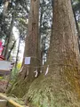 羽黒山展望所の写真_1393821