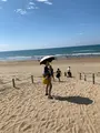 千里丘なぎさドライブウェイの写真_1393833