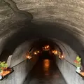 成田山不動尊（成田山大阪別院明王院）の写真_1396937