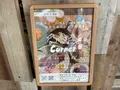 Corner（コーナー）池尻大橋の写真_1397792
