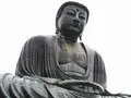 鎌倉大仏（高徳院）の写真_140602