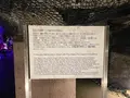 江の島岩屋の写真_1411063