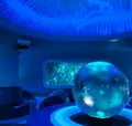 新江ノ島水族館の写真_1411312