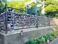 恋人の丘 龍恋の鐘の写真_1411377