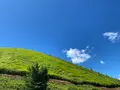 大室山登山リフトの写真_1415657