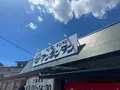 ワンタン チンタン アンポンタンの写真_1424023