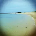 土盛海岸の写真_142545