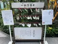 福徳神社（芽吹稲荷）の写真_1426102
