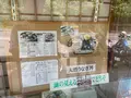 ドライブインよしだの写真_1426353