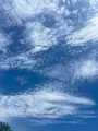びわ湖のみえる丘の写真_1426362