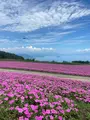 びわ湖のみえる丘の写真_1426366