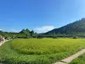 ラコリーナ近江八幡の写真_1426403