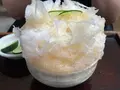 いなえの写真_1427638