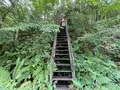 吉田胎内樹型の写真_1444416