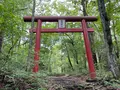 吉田胎内樹型の写真_1444422
