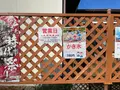 お惣菜まんじゅう藤江の写真_1445183