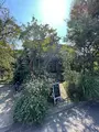 ニシアン・カフェの写真_1455349