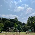 生田緑地の写真_1460476