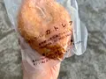 カトレアの写真_1472979