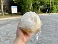 カトレアの写真_1472980