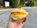 カトレアの写真_1472981