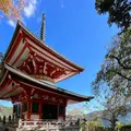 鞍馬寺の写真_1473169