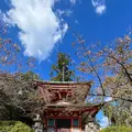 鞍馬寺の写真_1473170