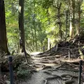 鞍馬寺の写真_1473178
