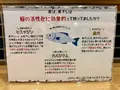 麺処 にぼし香の写真_1475281