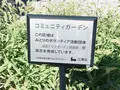 清澄二丁目公園の写真_1482720