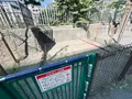 白河児童遊園の写真_1482896