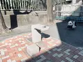 白河児童遊園の写真_1482900