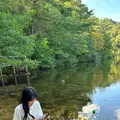 宝ヶ池公園の写真_1483120