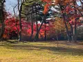 厳美渓の写真_1499714