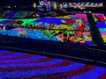 東京ドイツ村の写真_1500869