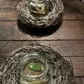 ピッツェリアダイニング META META（メタメタ）の写真_1506440