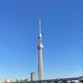すみだリバーウォークの写真_1520250