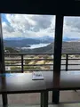 大観山の写真_1523442