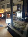 魚の松本の写真_1528429