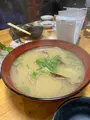 魚の松本の写真_1528433