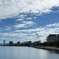 大津湖岸なぎさ公園の写真_1528490